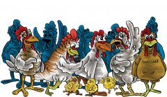 getcrackingchickens1.jpg