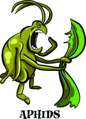 aphid.jpg