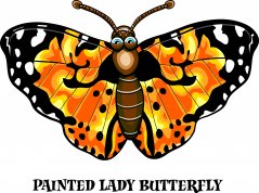 butterfly.jpg