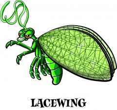 lacewing.jpg