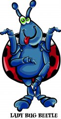 ladybug.jpg